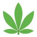 curated selection icon