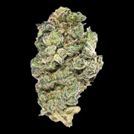 Ghost Breath cannabis flower