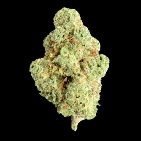 Key Lime Haze cannabis flower