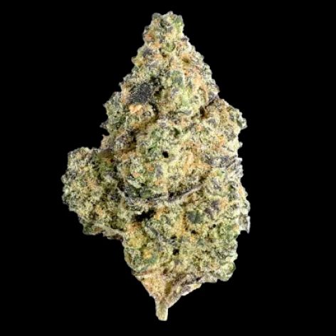 Vanilla Kush cannabis flower